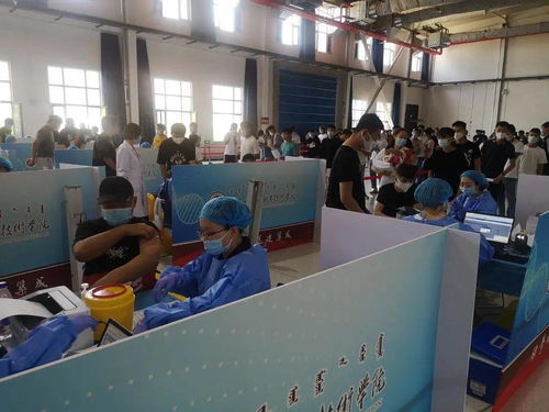 呼和浩特一高校高效完成師生第二劑新冠疫苗接種，后勤服務(wù)保障有力